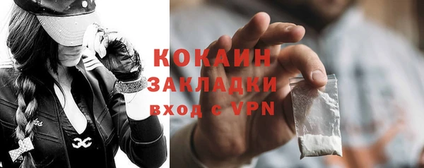 дживик Бронницы