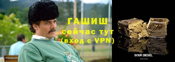дживик Бронницы