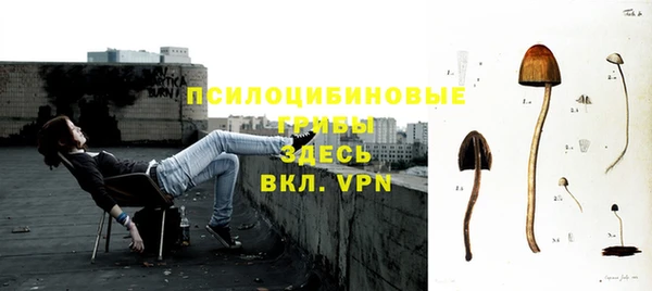 ГАЛЛЮЦИНОГЕННЫЕ ГРИБЫ Бородино