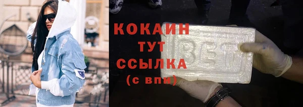 ГАЛЛЮЦИНОГЕННЫЕ ГРИБЫ Бородино