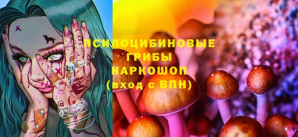ГАЛЛЮЦИНОГЕННЫЕ ГРИБЫ Бородино
