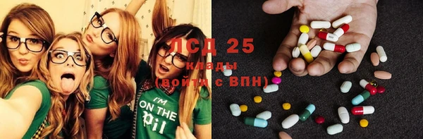 дживик Бронницы