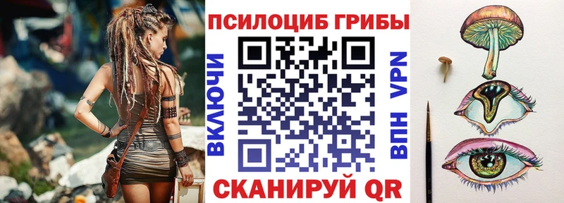 где найти Медногорск Галлюциногенные грибы Cubensis